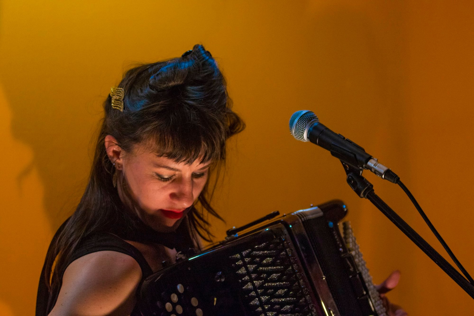 concert aaccordéoniste accordeon-femme-musicienne-orange-concert-evenementiel.jpeg