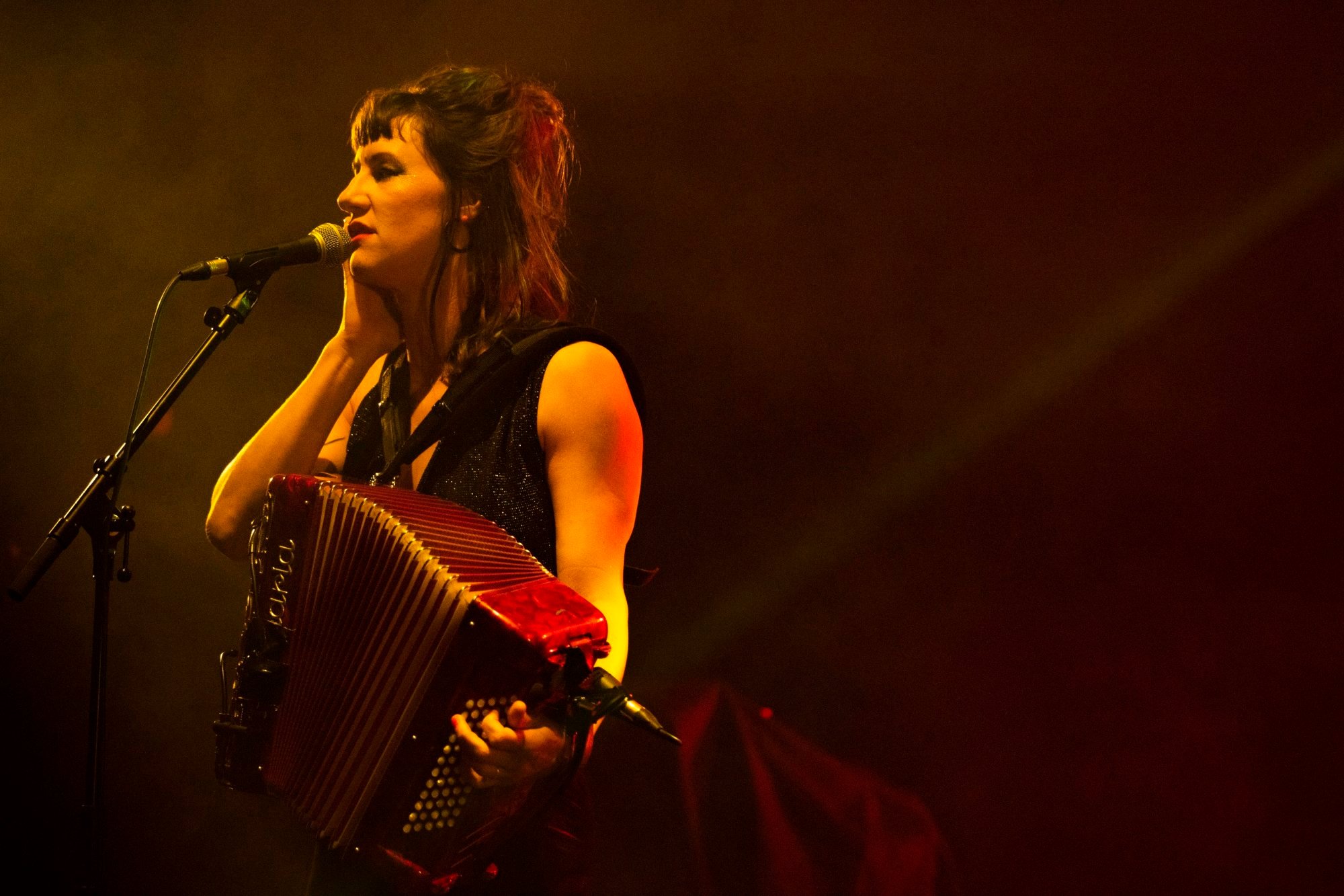 chanteuse accordéoniste chanteuse-accordeoniste-nuit-concert-evenementiel.jpeg